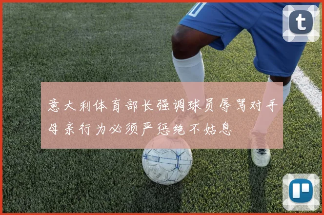 意大利体育部长强调球员辱骂对手母亲行为必须严惩绝不姑息