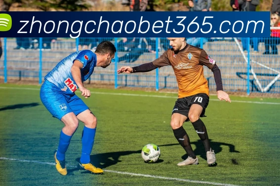 文班亚马高效砍下31分13板却因疑似受伤提前退赛但愿无碍